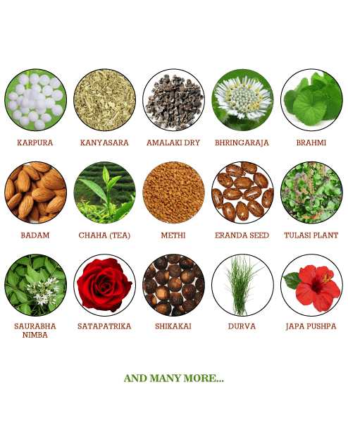 Six Ayurvedic Herbs for Hair Growth  SHAZ  KIKS