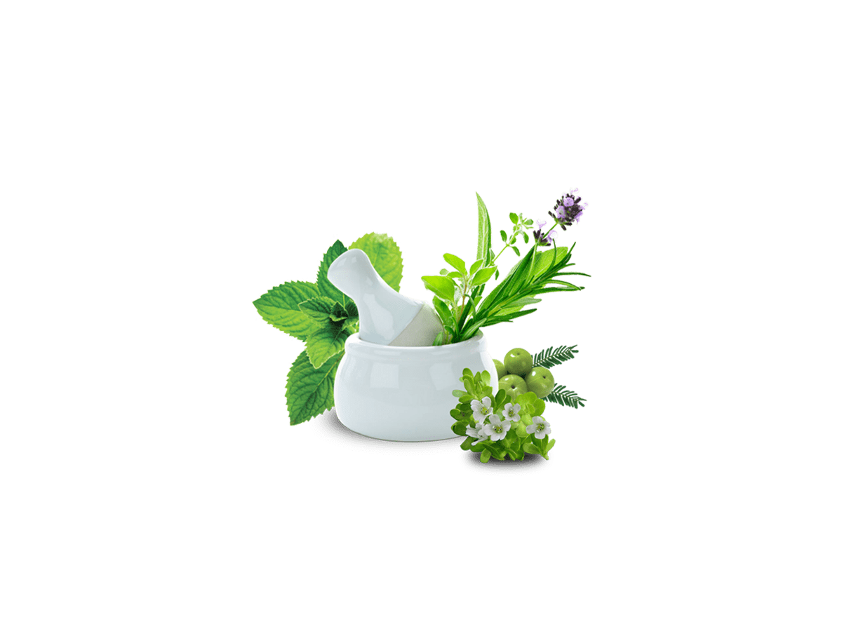 Herbal Hair Oil For Regrowth And Retain Of Hair Naturally HerbHair
